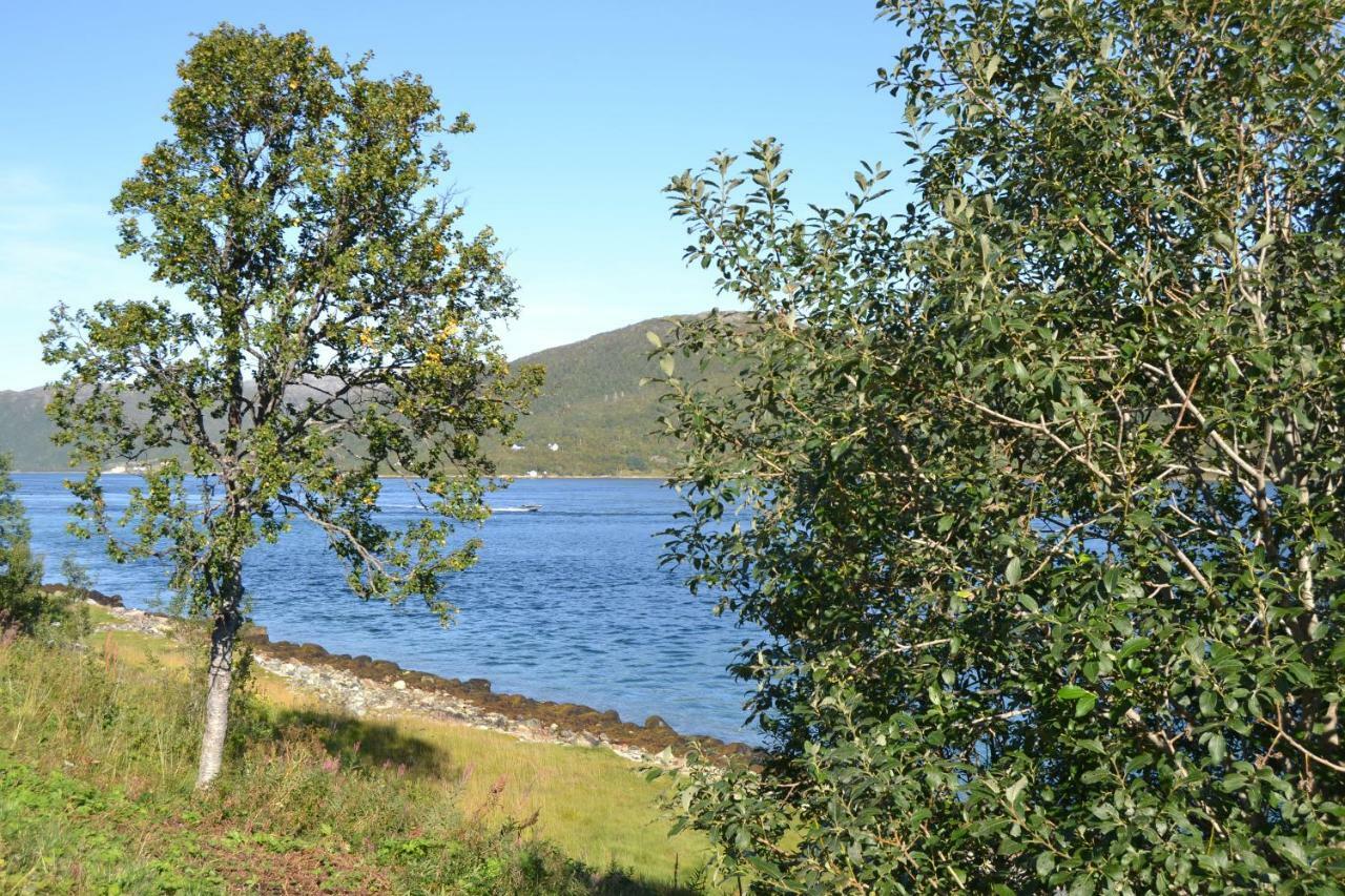 Kvaloya Lodge Futrikelv 外观 照片